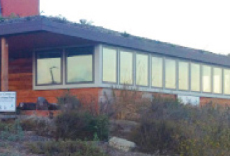 Living Roof Example