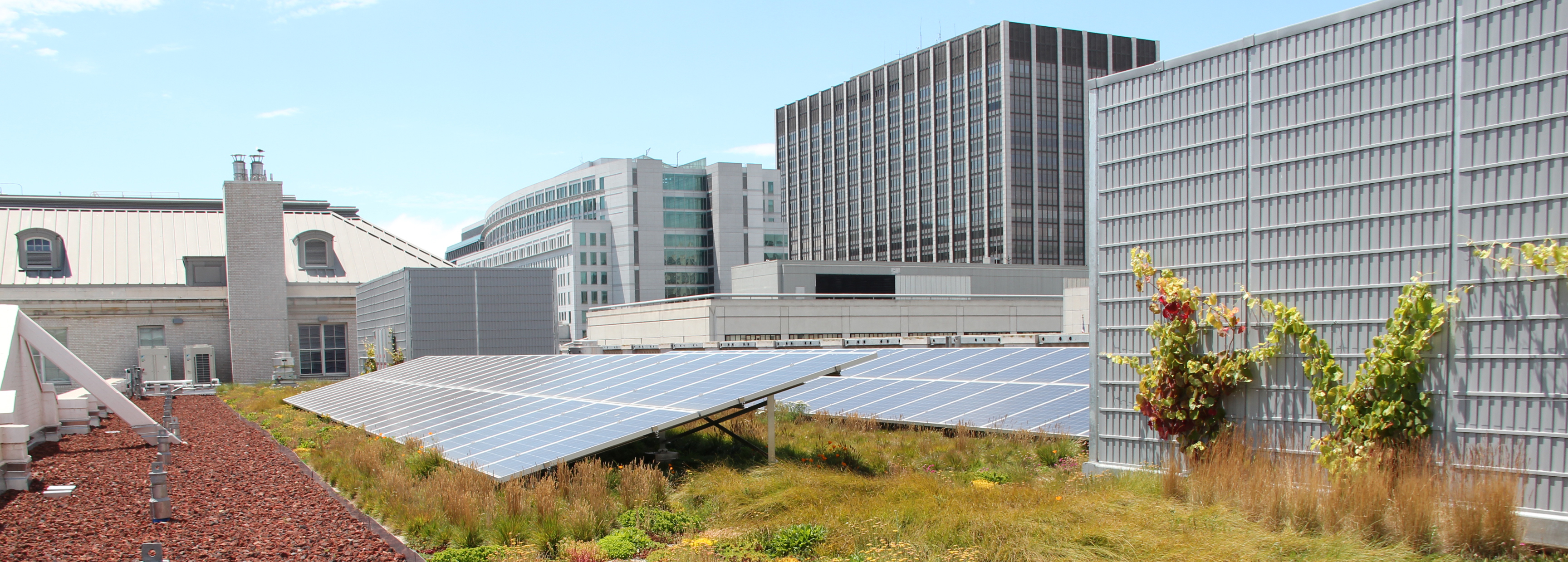 Green Roof