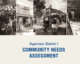 Community Needs Assessment Survey