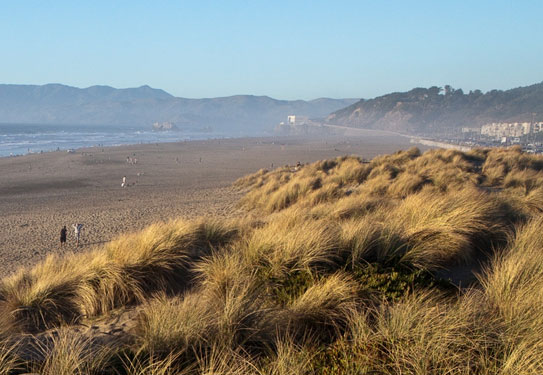 view of ocean beach and dune grass