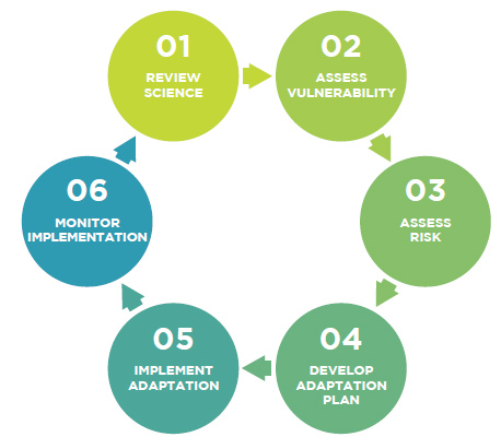 process chart showing six steps of assessment