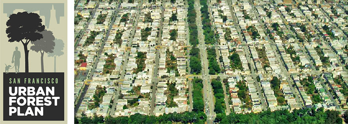 San Francisco Urban Forest Plan